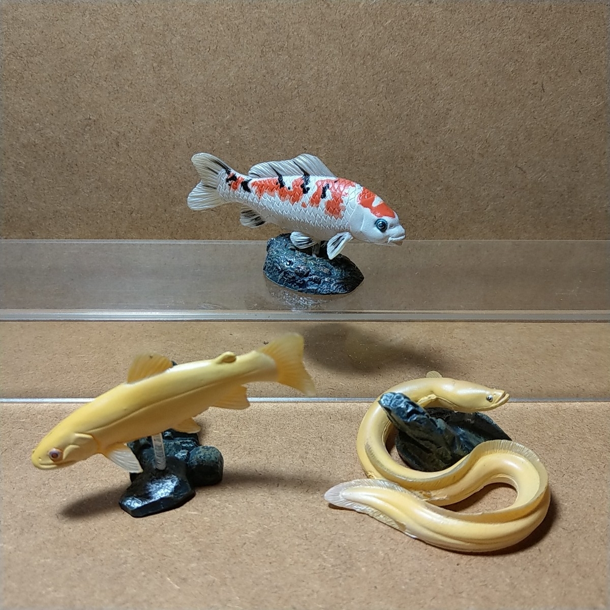 中古】YUJIN 原色淡水魚図鑑イワナ ウナギ大正三色