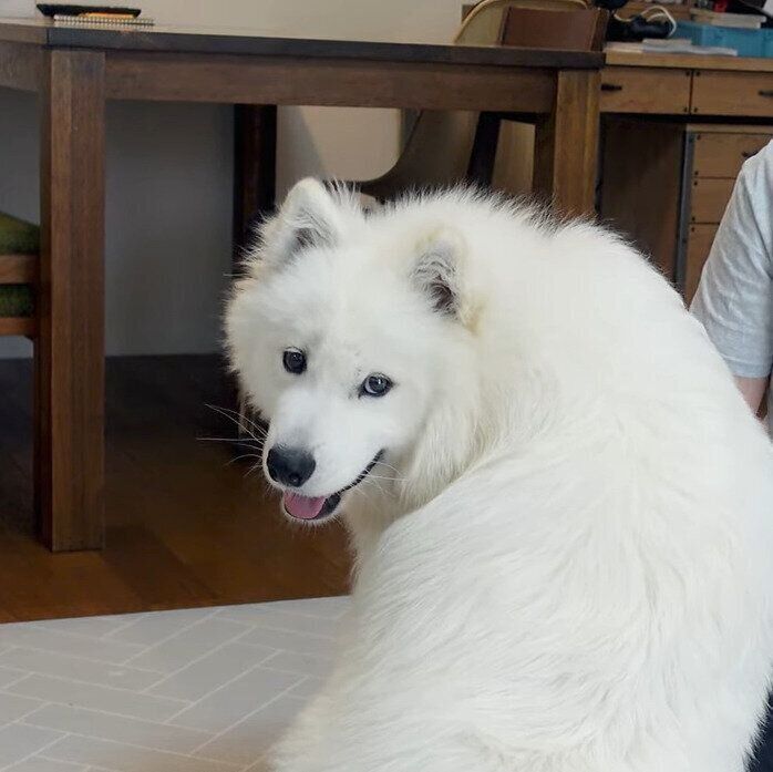 resized_b4ad2a12-177a-47b5-