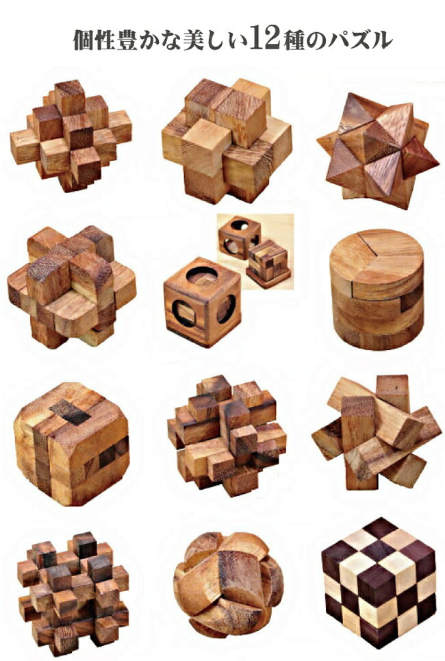 ロックスモーション ウッドパズル 12個セット[木製 立体パズル 大人