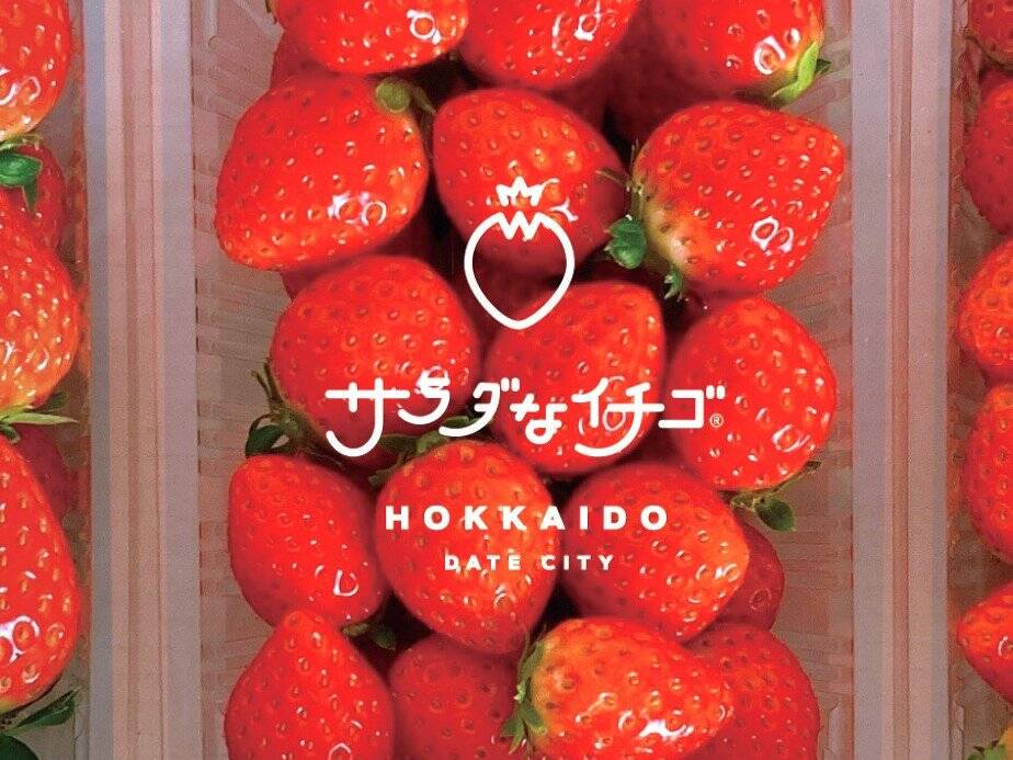 送料込み】サラダなイチゴ 4P | The Country Pantry