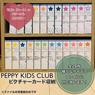 ペッピーキッズ】ピクチャーカード 収納ファイル『背表紙』モラモラの