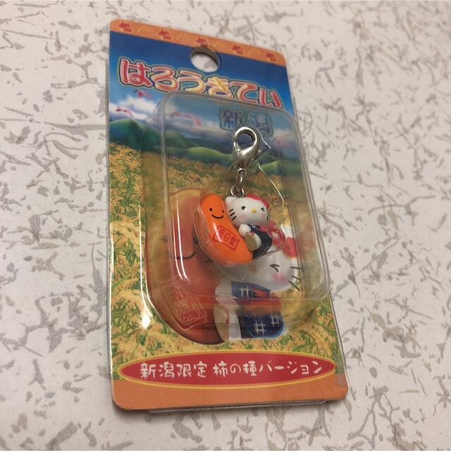 ご当地キティ 軽井沢限定 ハローキティ＆ディアダニエル ファスナー