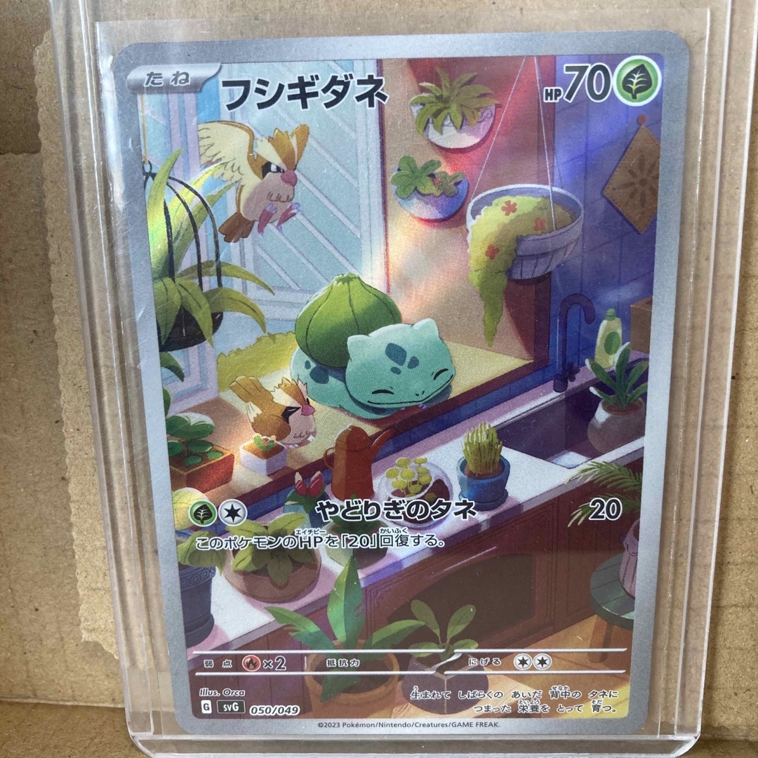 ポケモン - ポケモンカード フシギダネ、ヒトカゲ、ゼニガメ 3枚セット