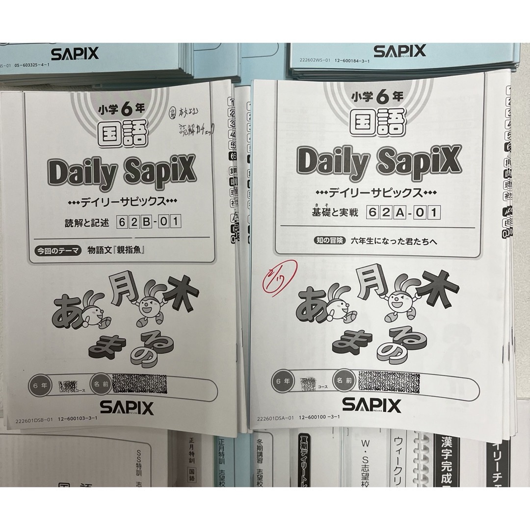 SAPIX デイリーサピックス 6年国語 1年分 2022年度テキスト・プリント