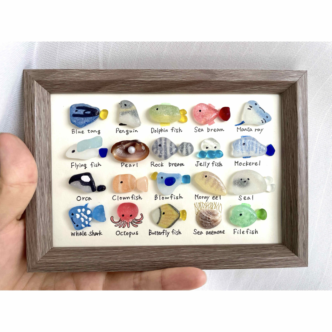 飾る水族館⭐︎20種類のお魚図鑑⭐︎シーグラスアート ヒーリング