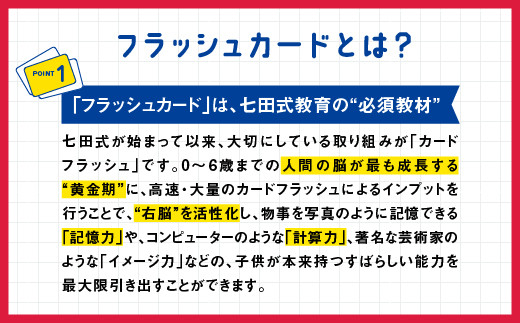 江津市限定返礼品】フラッシュカード 七田式ドッツセット 説明書付（30