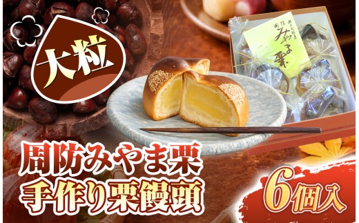 周防みやま栗 15 個 大粒 栗饅頭 ｜ 和菓子 茶菓子 お茶うけ