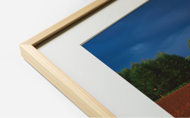 sd6_8fc5dc940a73cbe8dd22221675