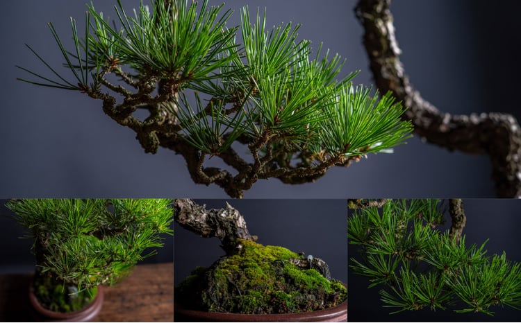 sd8_8178709b6f8f1f68ffec22f534