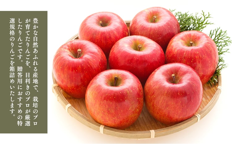 5～7月発送 特選 甚八りんごふじ5kg 【青森県 平川市 マルジンサン