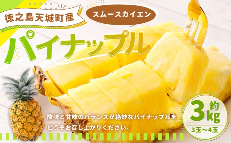 先行受付】徳之島 天城町産 パイナップル 約3kg（3玉～4玉） パイン