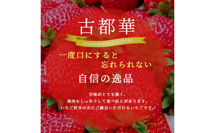 いちご 完熟 古都華 約540g(270g×2パック ) イチゴ 奈良県産 佃農園の