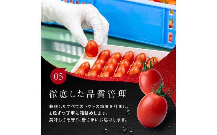OSMIC トマト トマトグランプリ優勝 mini Premium 1kg ミニトマト