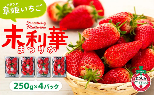 章姫(あきひめ)いちご 4P(250g×4) 「末利華(まつりか)」【苺 イチゴ