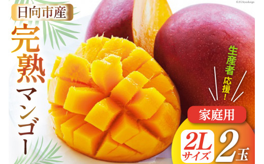 2026年夏発送】「生産者応援・数量限定」 訳あり 宮崎 完熟 マンゴー