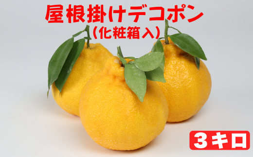 屋根掛けデコポン 約3kg（化粧箱入） ／ ミカン みかん 蜜柑 柑橘類