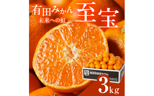 有田市認定みかん「未来への虹」至宝(3kg)【日本初自治体認定フルーツ