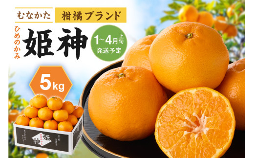 旬のミカンをお届け！JAむなかた柑橘ブランド「姫神」5kg 甘くて
