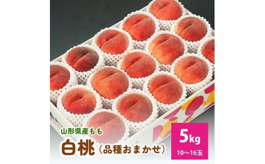 白桃（品種おまかせ）5kg 0020-2613 - 山形県上山市｜ふるさと