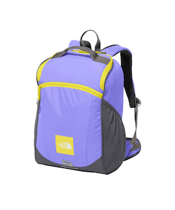 ザ・ノース・フェイス(THE NORTH FACE) バックパック レクタング