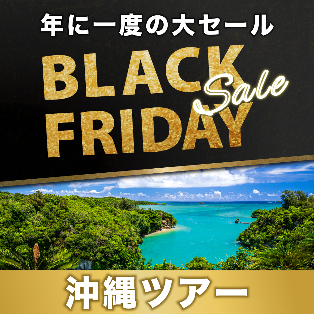ブラックフライデーセール国内旅行2025 東京発｜【公式】ジェイ