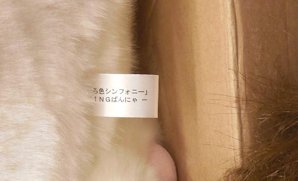 ぱれっと/ましろ色シンフォニー/キングぱんにゃぬいぐるみ