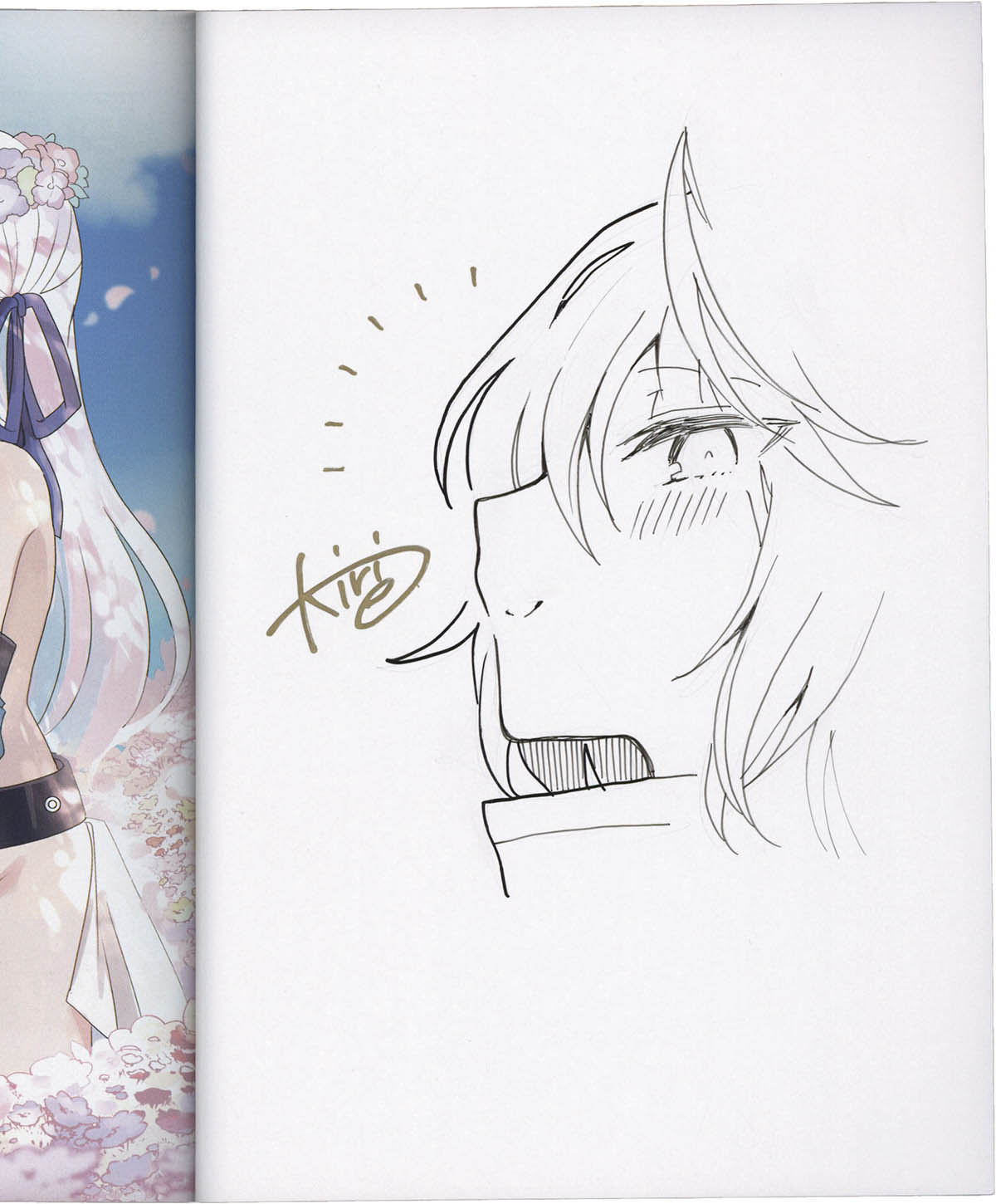 7433] 桐江 直筆イラストサイン本「白魔術師は勇者のレベルを上げたく