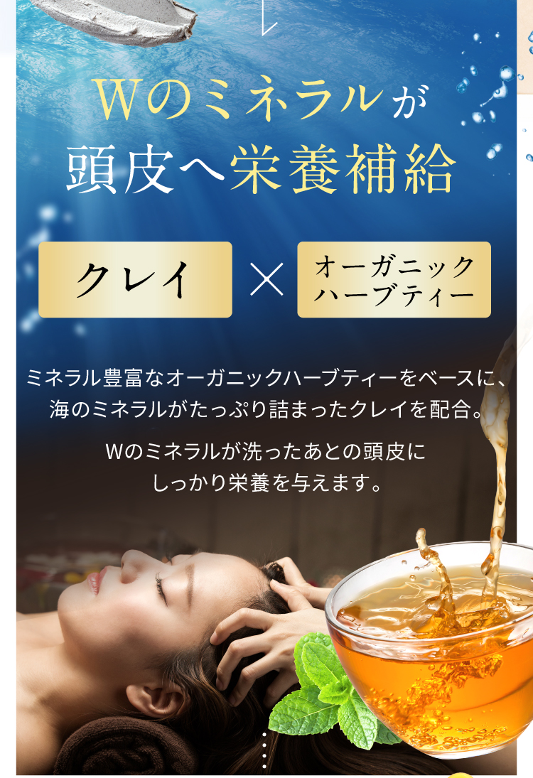 公式】ハーバニエンス炭酸スパシャンプー（バニスパ） |高濃度炭酸泡と