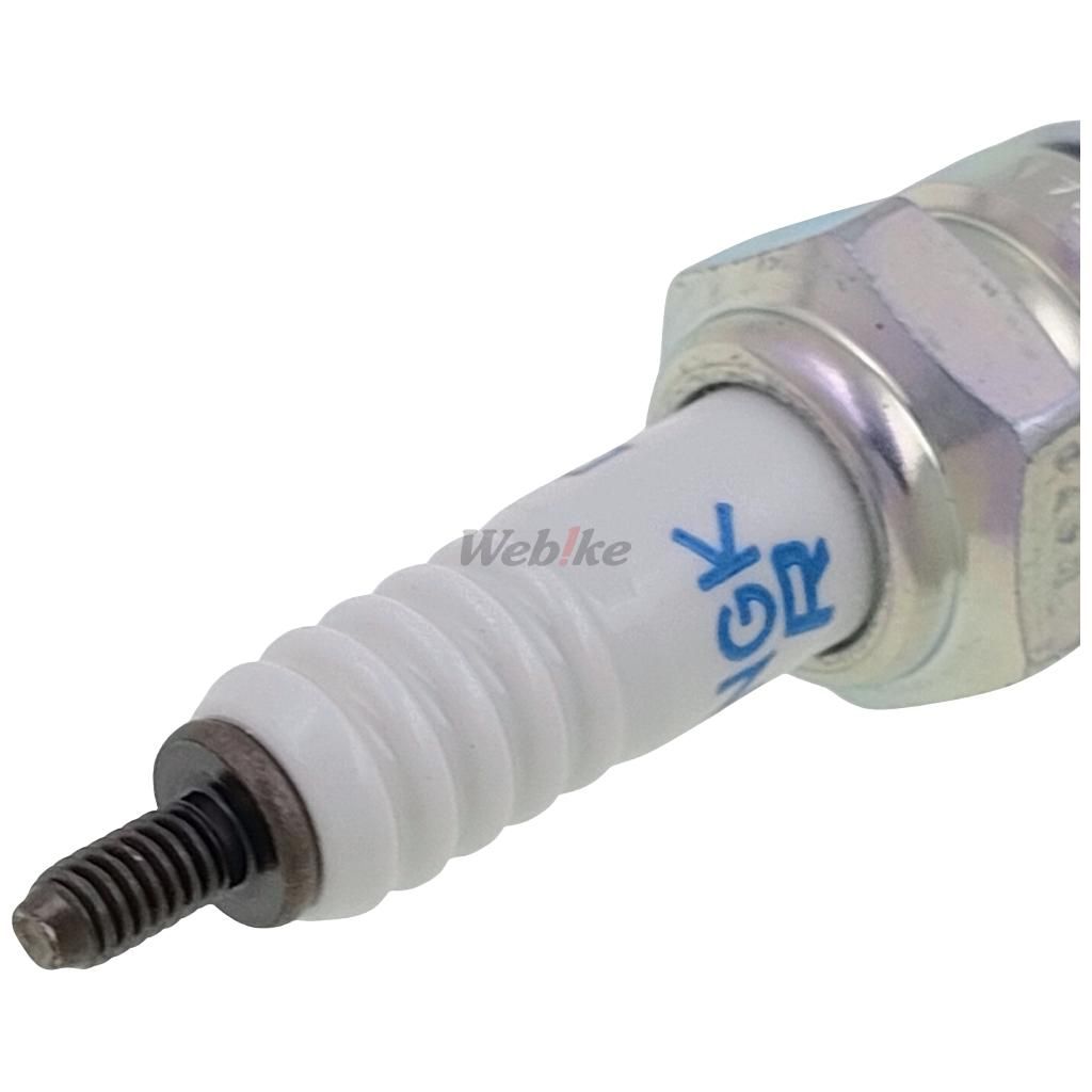 Webike | NGK エヌジーケー 日本特殊陶業 標準プラグ DPR9EA-9 5329