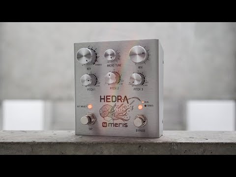 Meris Hedra 3-Voice Rhythmic Pitch Shifter Pedal | Sweetwater