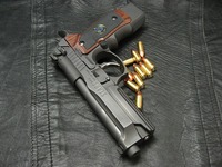 Custom Gun Take.R:サムライエッジ Crossモデル 完成！