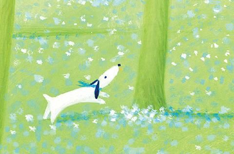 葉祥明ネットショップ - YOH SHOMEI NETSHOP