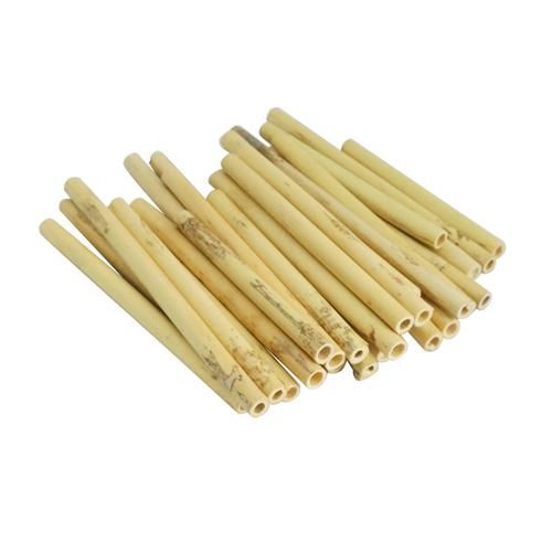 グロタン ： オーボエ 丸材ケーン 10.0～10.5mm - オンラインショップ