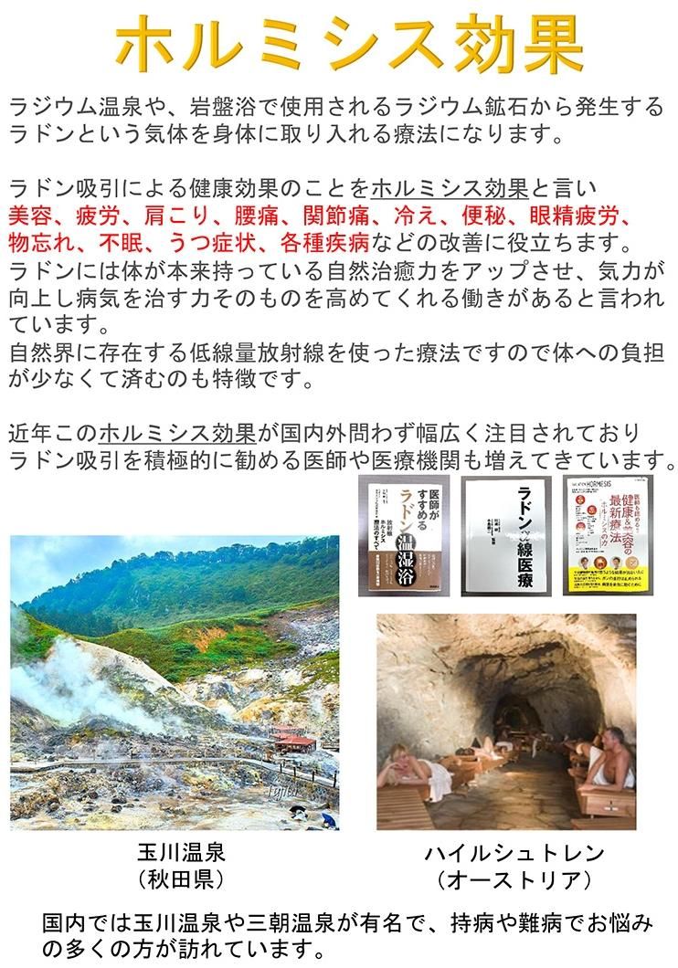 ジャパンテンプレート 玉川の湯（大判） - 自然食品店ナチュラル