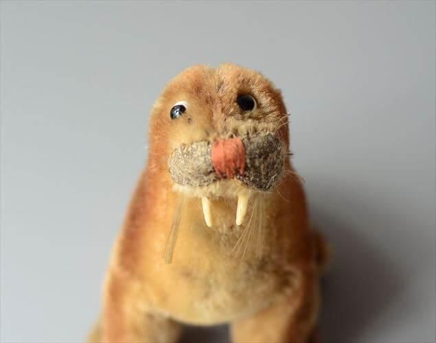 ドイツ製 Steiff セイウチ ぬいぐるみ ヴィンテージ