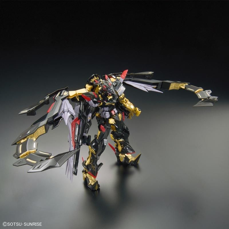 RG 1/144 ガンダムアストレイ ゴールドフレーム天ミナ プラモデル