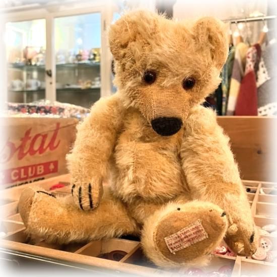 チャドバレー アンティークベア マグナベア