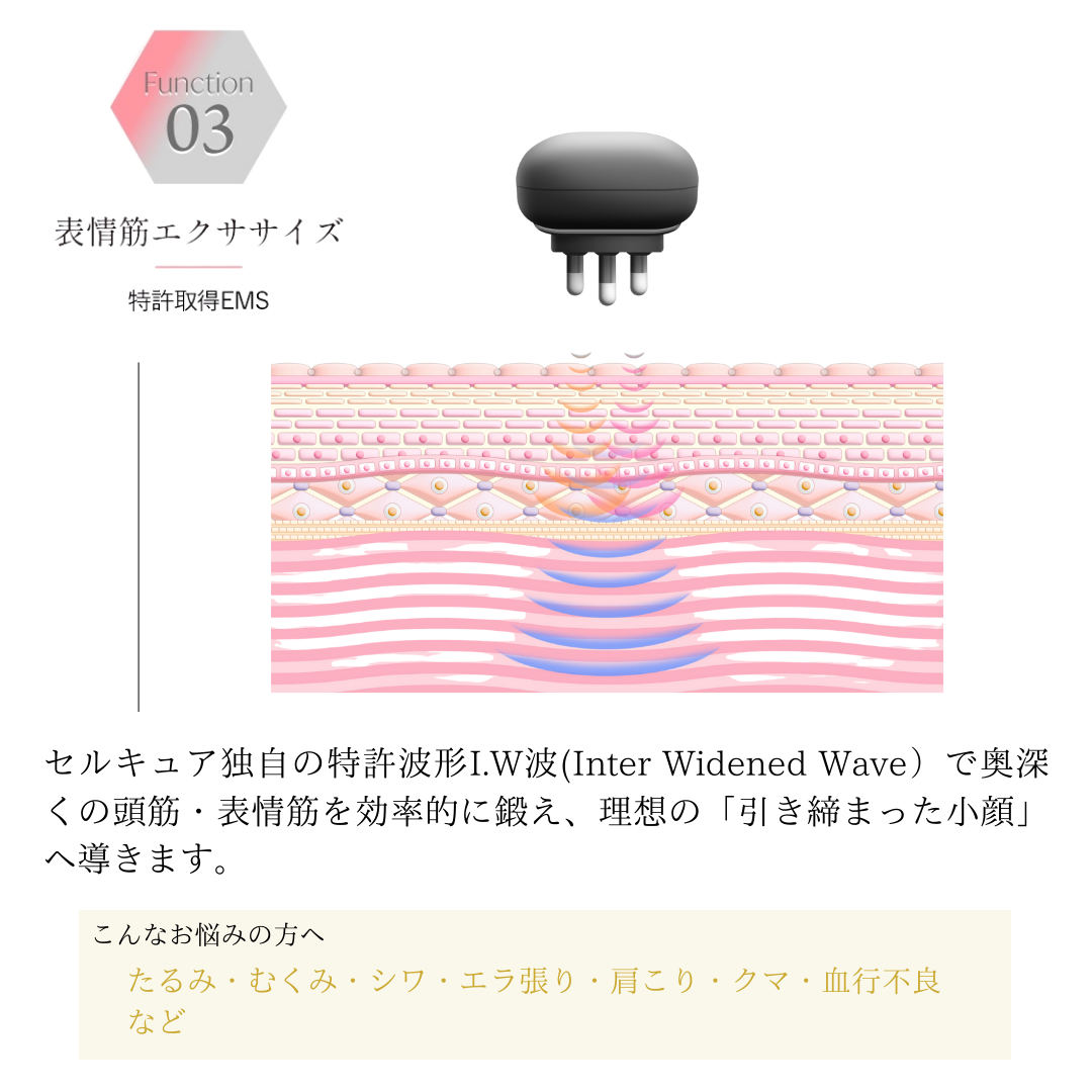 公式】セルキュア4T++（プラスプラス） - BELEGA ONLINE SHOP