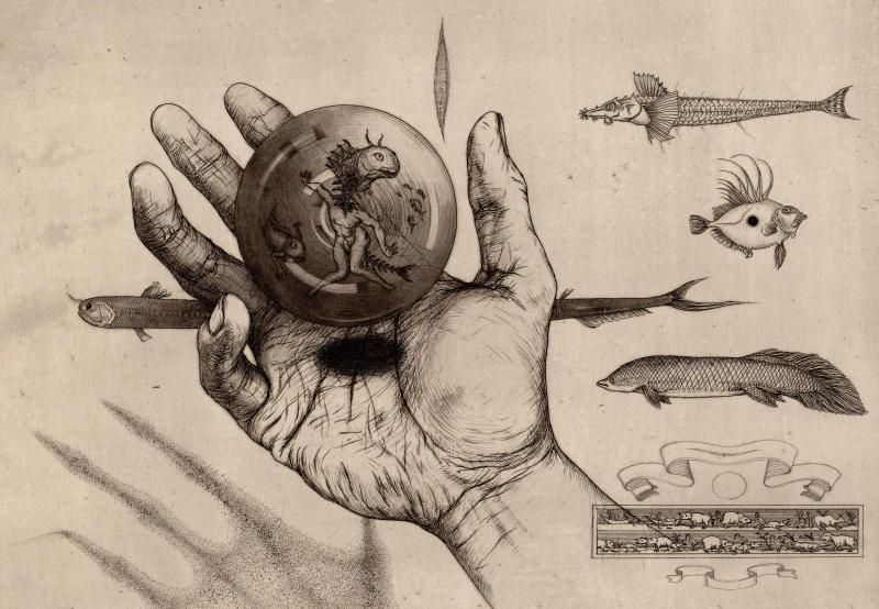 多賀 新 銅版画 魚シリーズ No.15「Sketch」＊シート - y art gallery