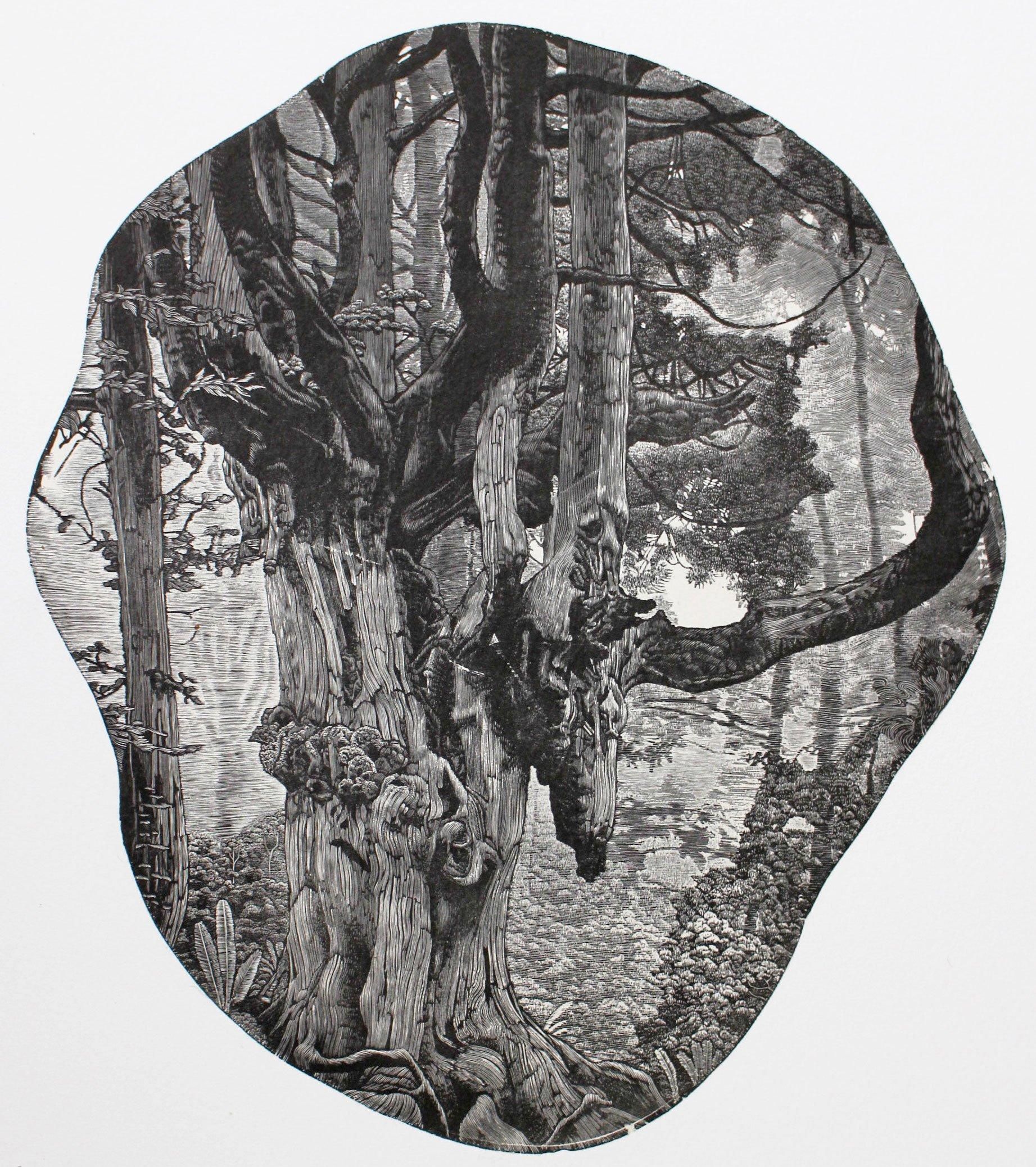 齋藤 僚太 木口木版画「歩み寄る気配」＊シート - y art gallery