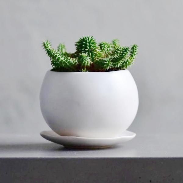 植木鉢 おしゃれ 陶器鉢 マリナS (B/W)＜ 8.5cm 3号 底穴あり 受け皿付