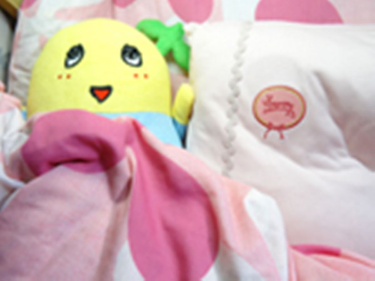 ふなっしーラブ！ あの大人気の梨の妖精を抱きしめて眠る幸せ♪ - 価格