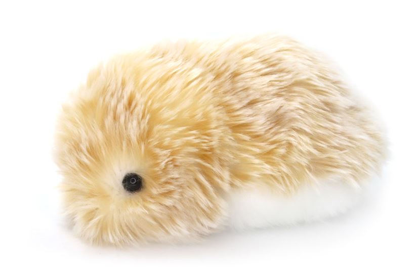 君はもう家族だよ…！ 愛猫家がAIペットロボット「モフリン」をお迎え