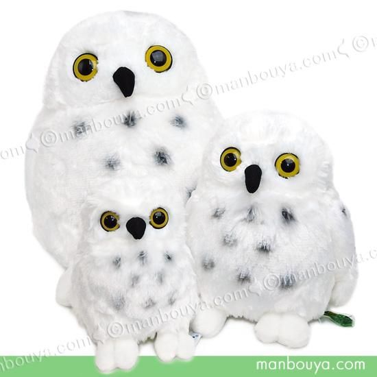 5％OFF シロフクロウ ぬいぐるみ ふくろう キュート販売 CUTE 白