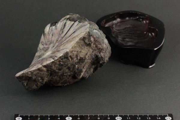 根尾谷産 菊花石 567g｜国産 原石 通販キラリ石