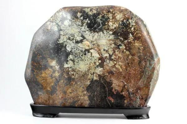 根尾谷産 菊花石 置石 2.5kg 【国産】｜天然石 原石 通販 キラリ石