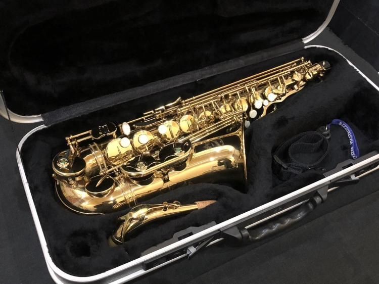 本体のみ アルトサックス カドソン 台湾OEM 彫刻が美しい ノーブランド