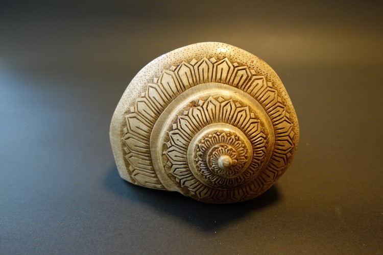 ほら貝・法螺貝・ホラガイ（シャンカ） 文殊菩薩 販売｜大阪 多羅堂