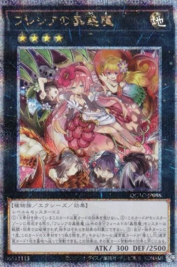 遊戯王 QCAC-JP088 フレシアの蟲惑魔 (日本語版 25th クォーター