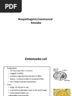 Bioinformatics | PDF | Dna | Sequence Alignment